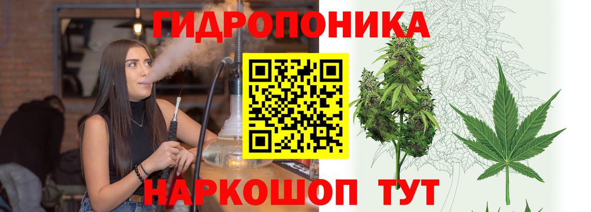Канабис тримм  Марихуана Amnesia  Вход с VPN  МАРИХУАНА марихуана  Мирный 
